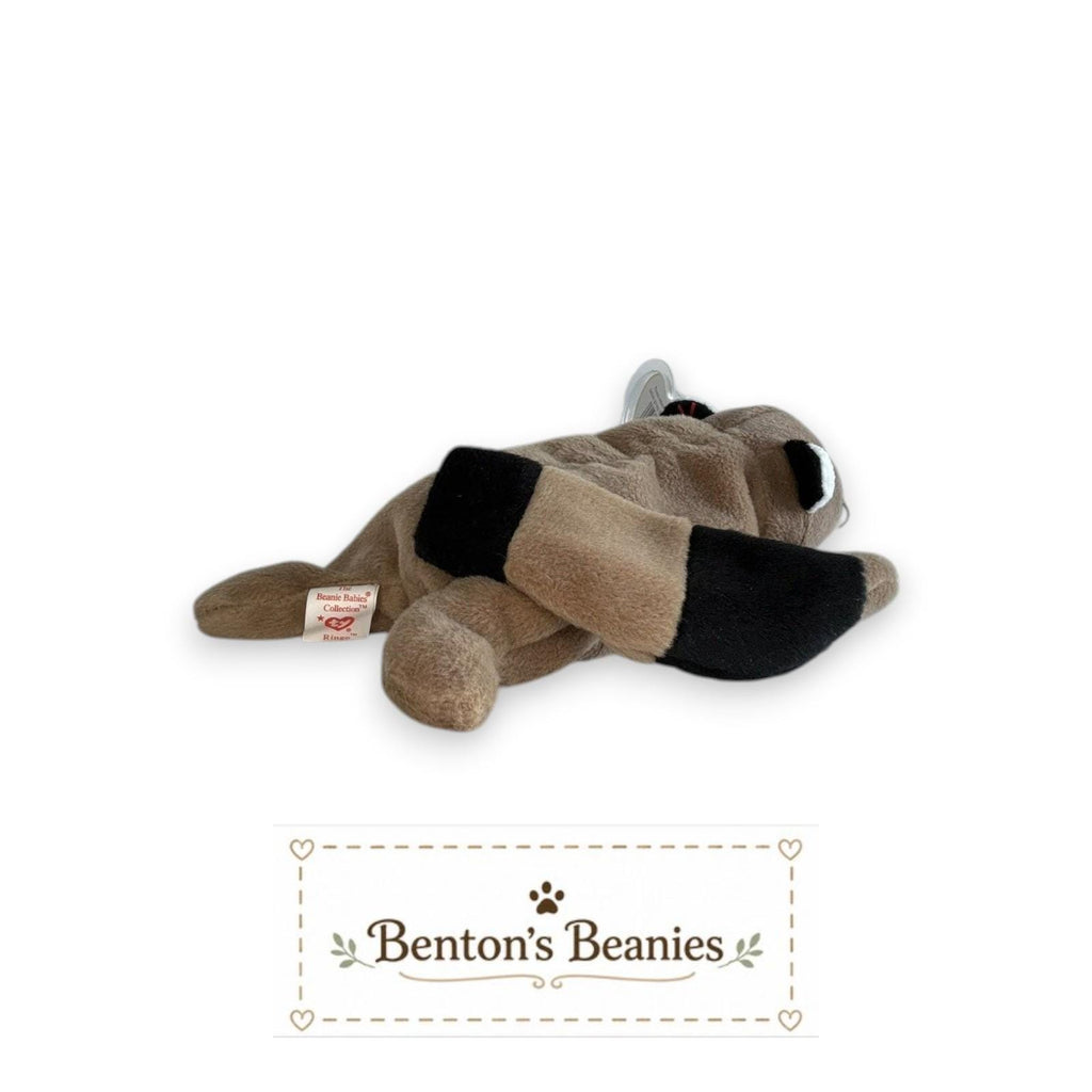 Ringo the Raccoon TY Beanie Baby | Mint Heart & Tush Tag