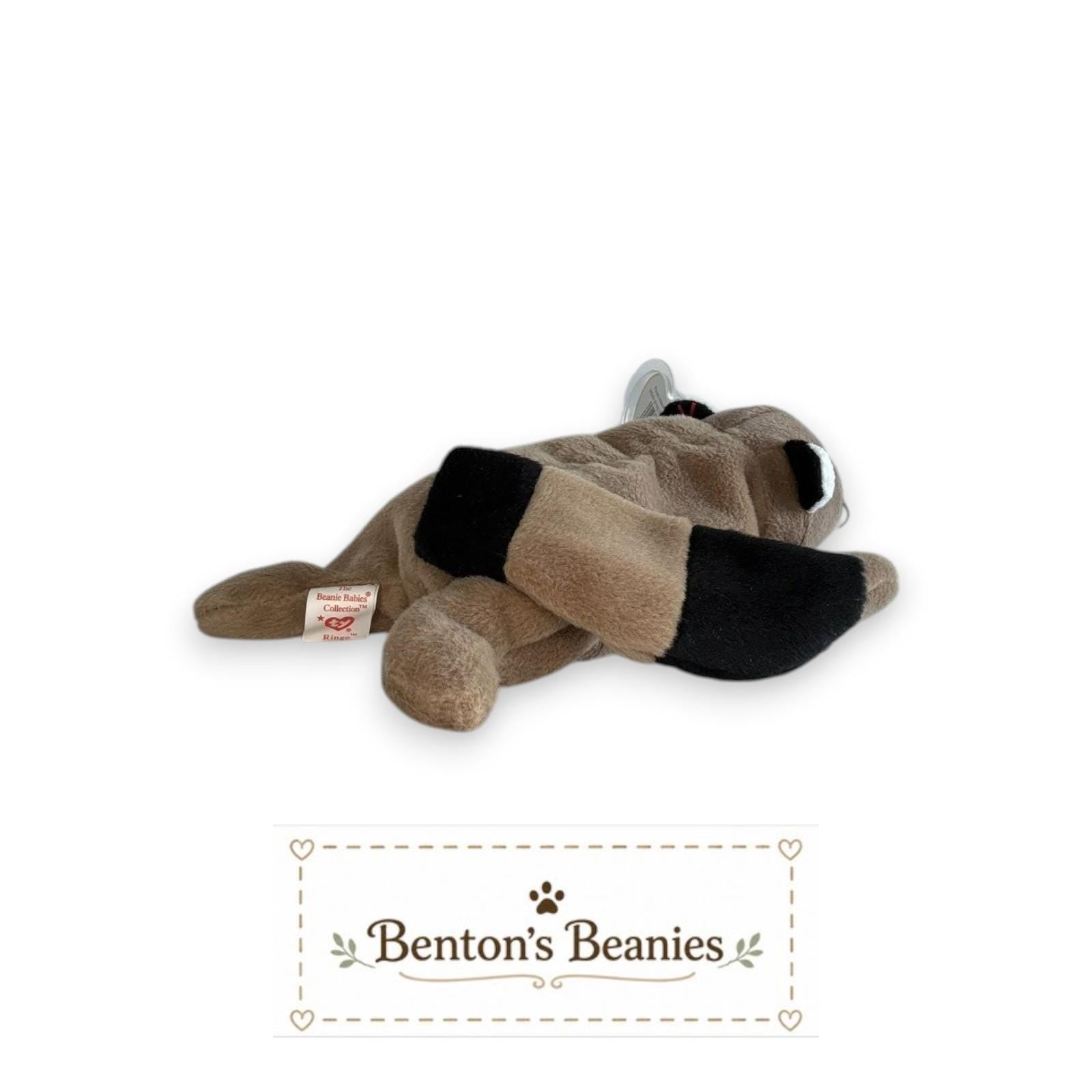 Ringo the Raccoon TY Beanie Baby | Mint Heart & Tush Tag