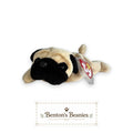 Pugsly the Pug Dog TY Beanie Baby | Mint Heart & Tush Tag