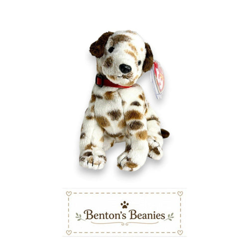 Bo the Dog TY Beanie Baby | Mint Heart & Tush Tags
