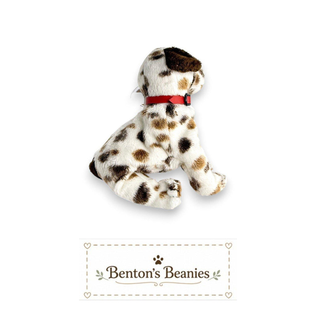 Bo the Dog TY Beanie Baby | Mint Heart & Tush Tags