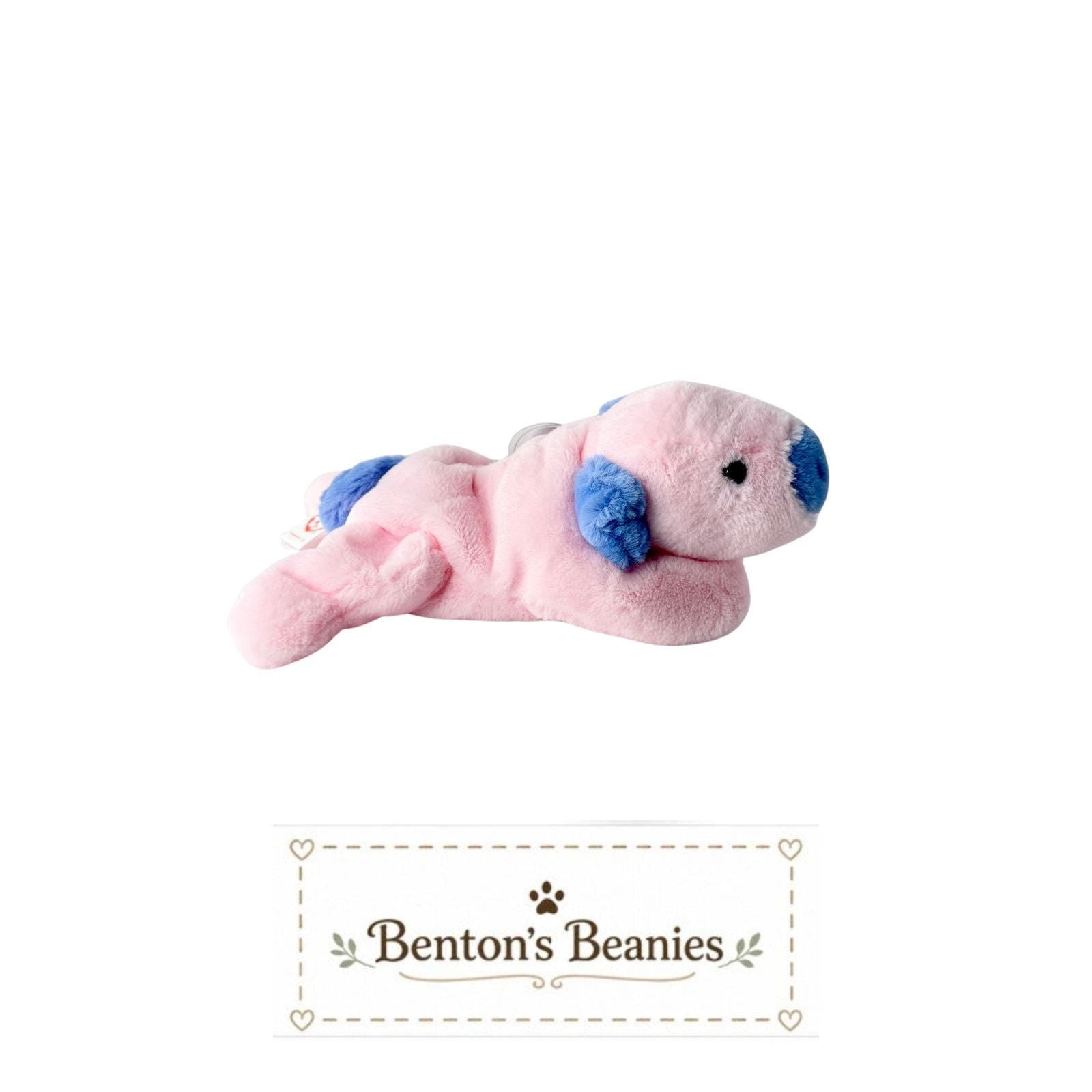 Squealer II the Pig TY Beanie Baby | Mint Heart & Tush Tag