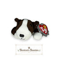 Bruno the English Bull Terrier TY Beanie Baby | Mint Heart & Tush Tag