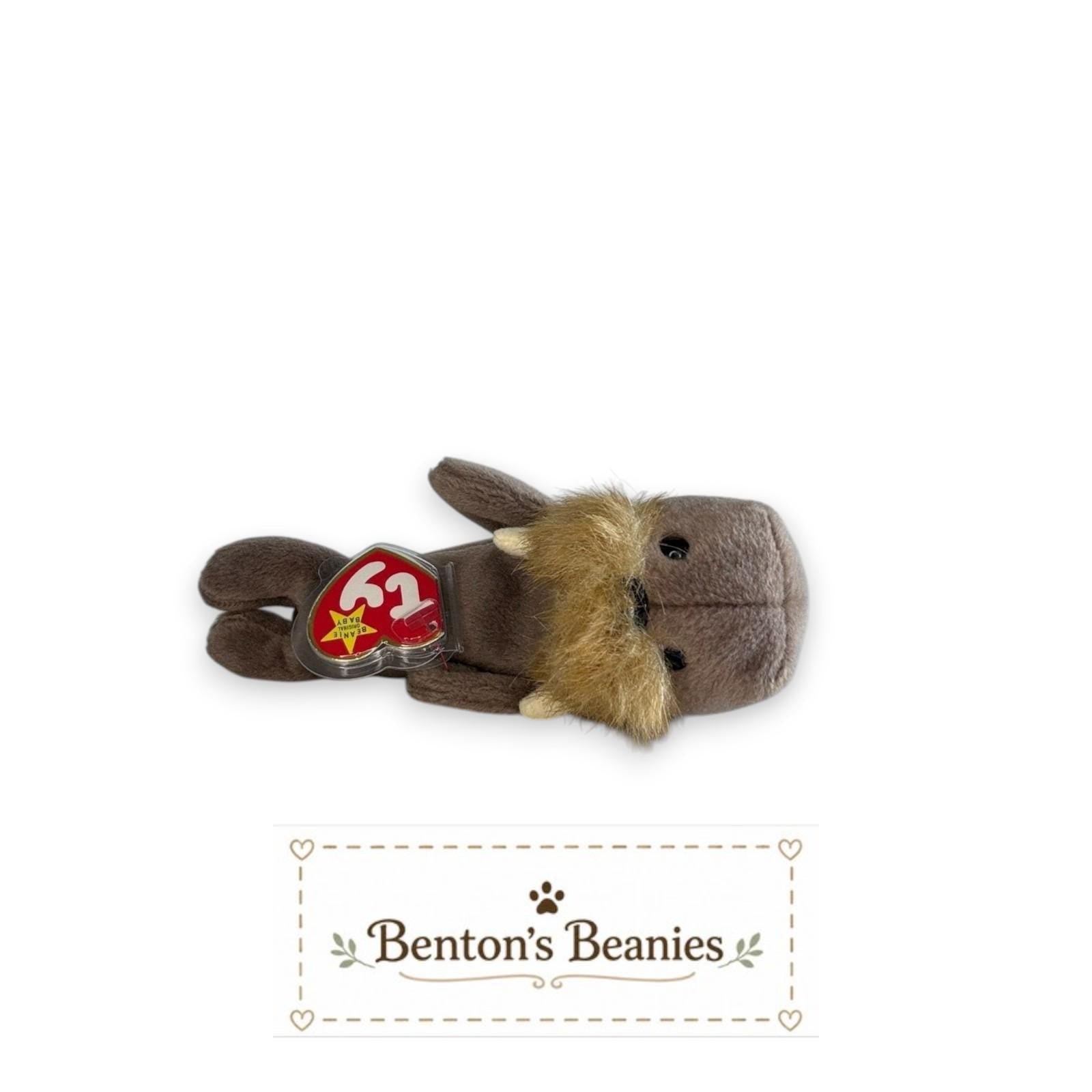 Jolly the Walrus TY Beanie Baby | Mint Heart & Tush Tag