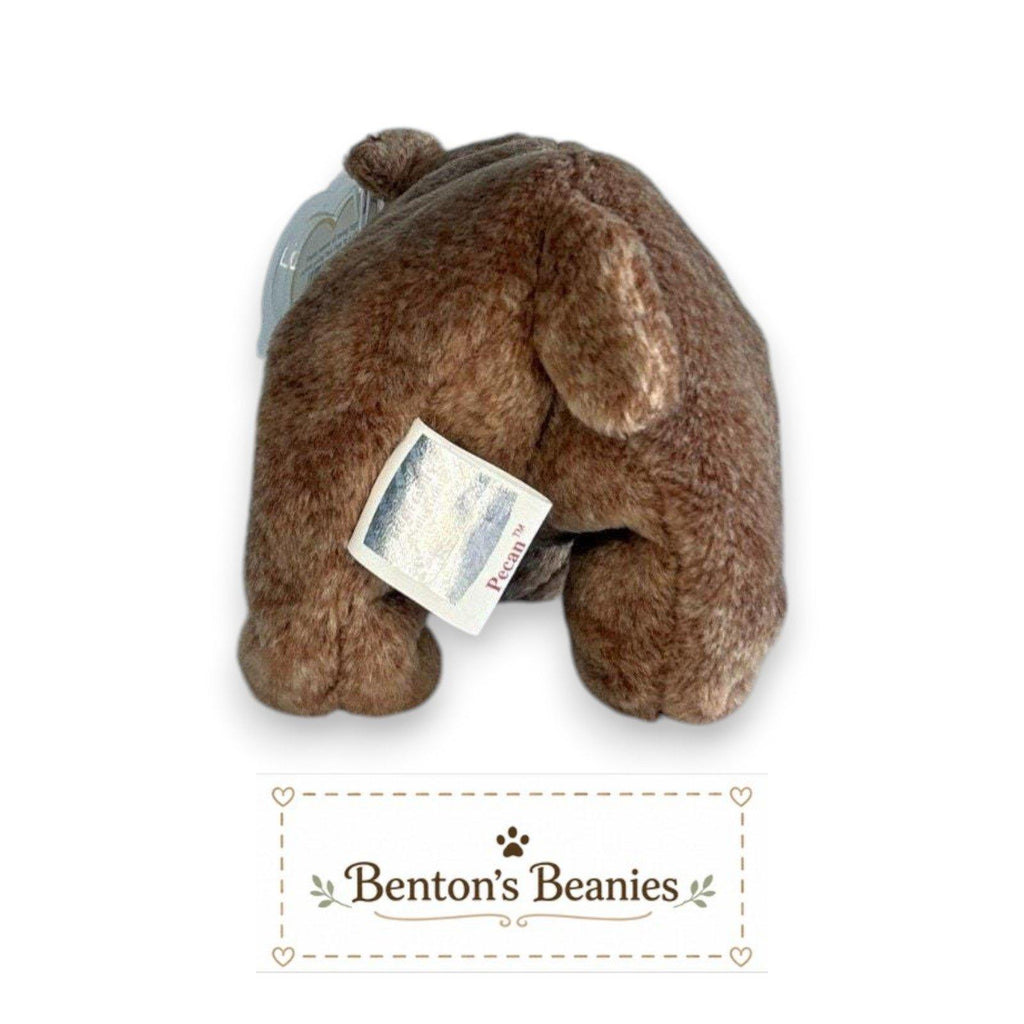 Pecan the Bear TY Beanie Baby | Mint Heart & Tush Tag