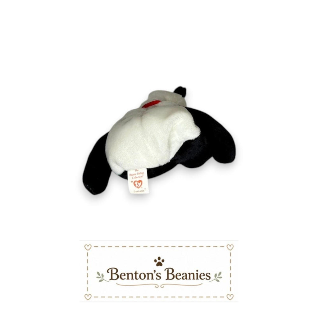 Fortune the Bear TY Beanie Baby | Mint Heart & Tush Tag