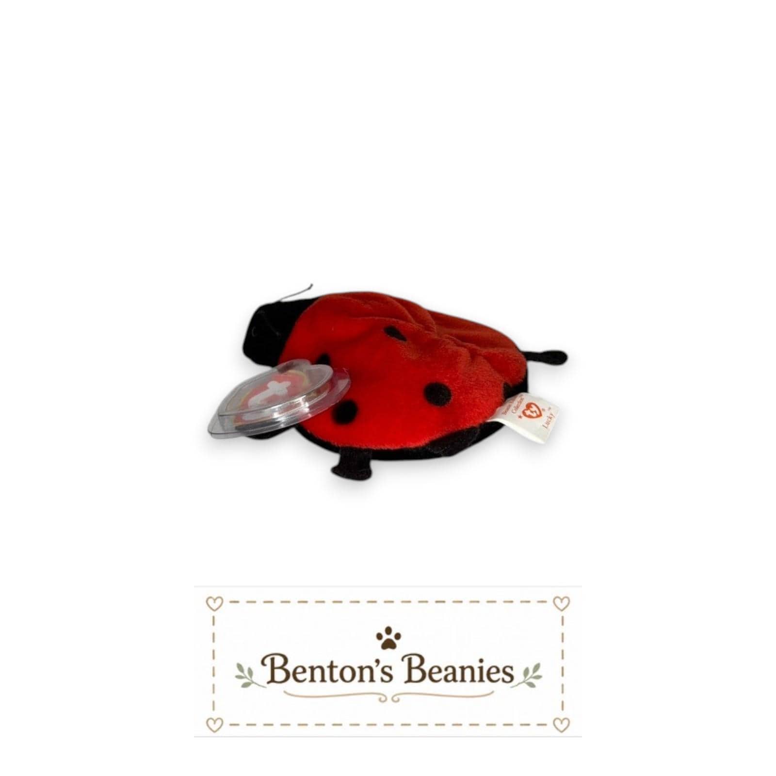 Lucky the Ladybug TY Beanie Baby | Mint Heart & Tush Tag