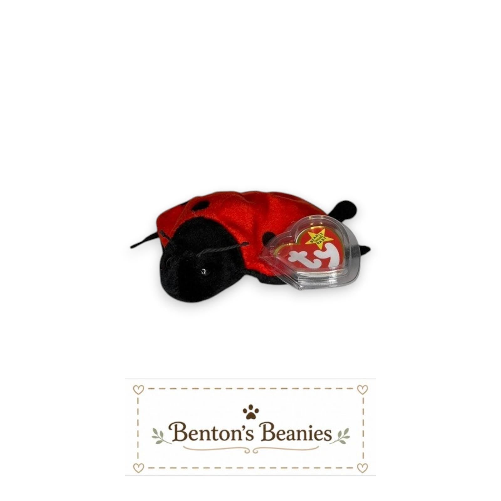 Lucky the Ladybug TY Beanie Baby | Mint Heart & Tush Tag