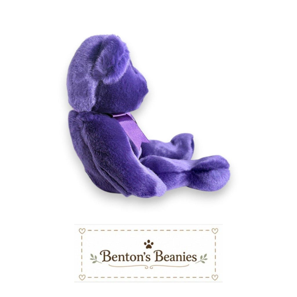Princess the Bear Ty Beanie Buddy | Royal Treasure | Mint Heart Tag