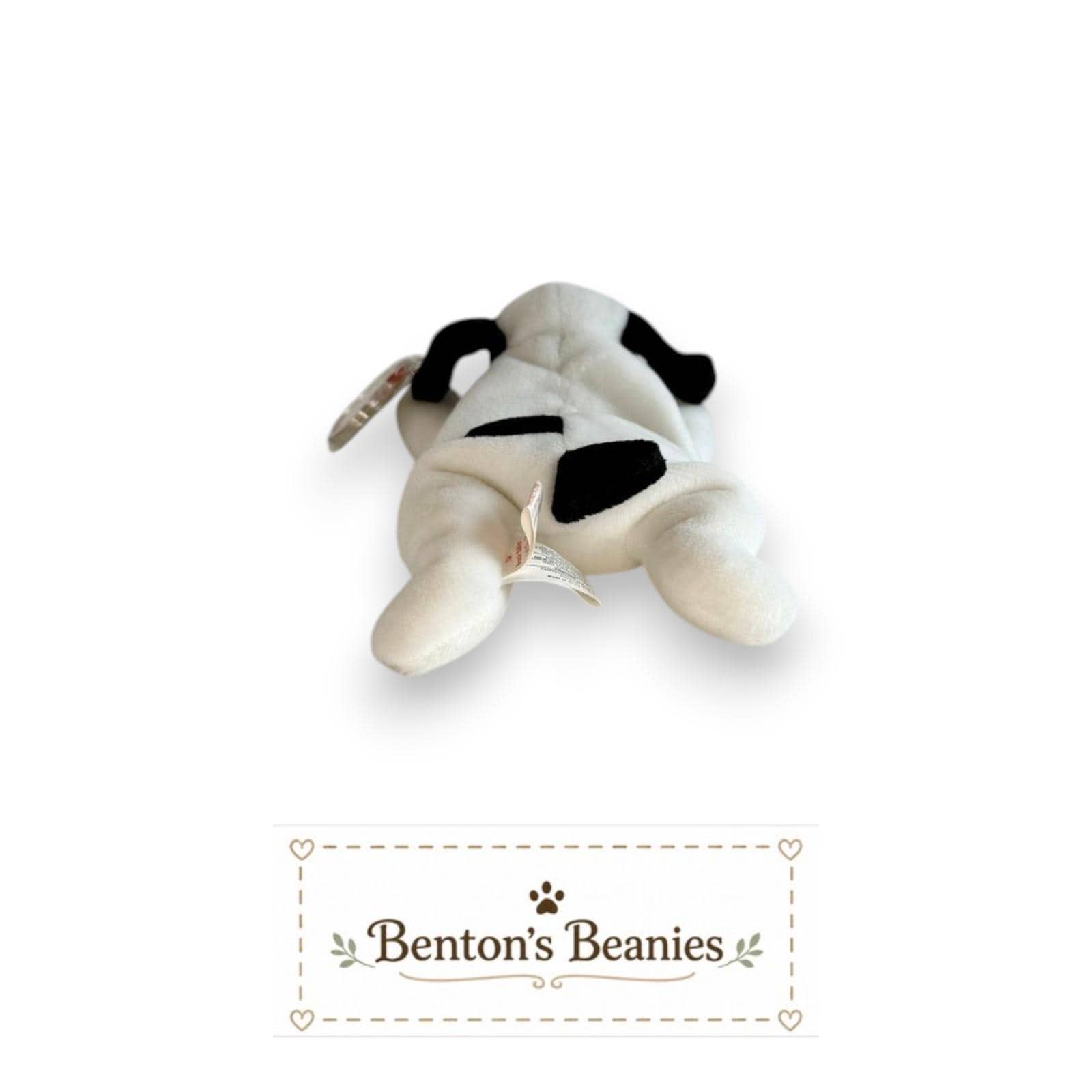 Spot the Dog TY Beanie Baby | Mint Heart & Tush Tag