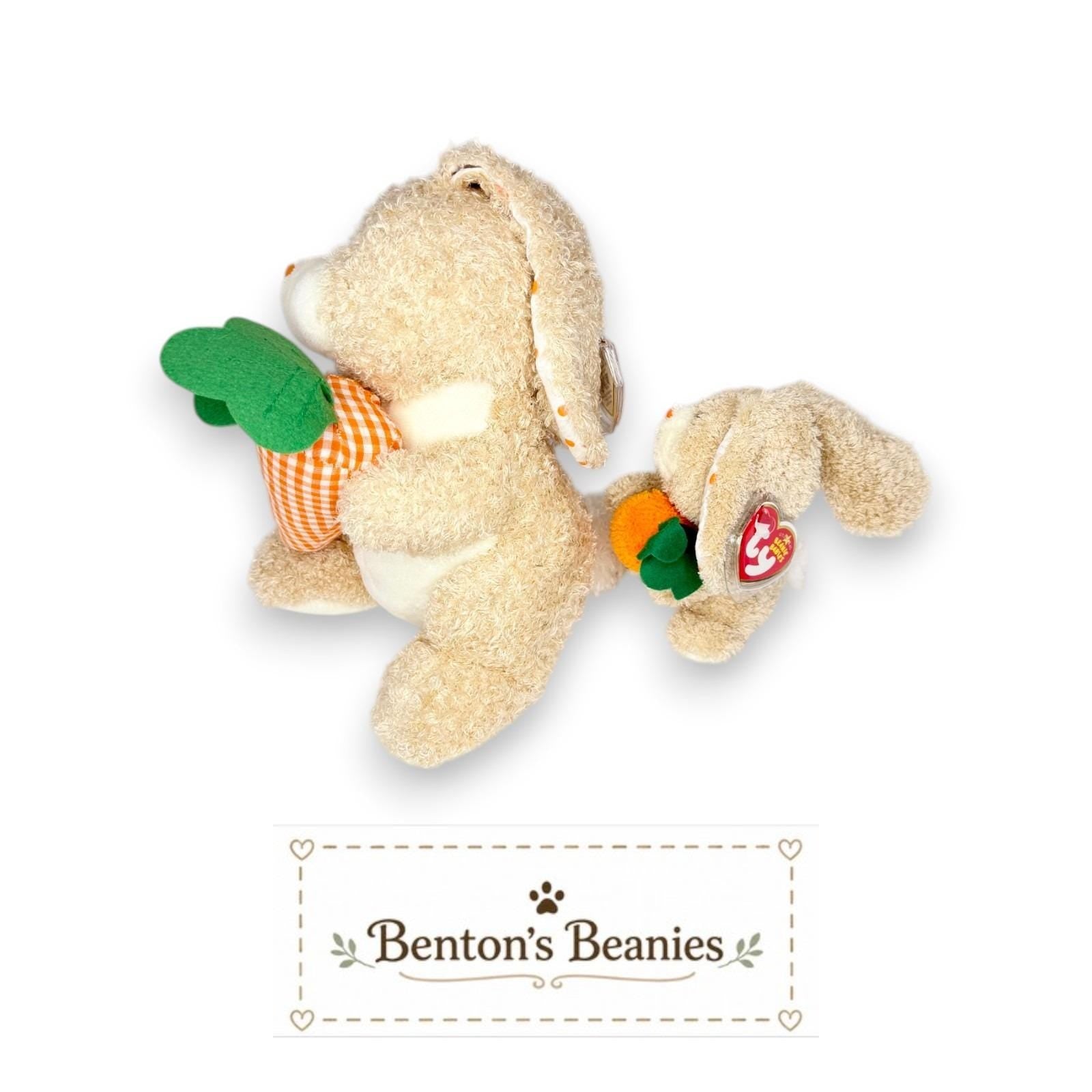 Veggies Ty Beanie Baby & Buddy | Garden Snack Bunny | Mint Heart Tags