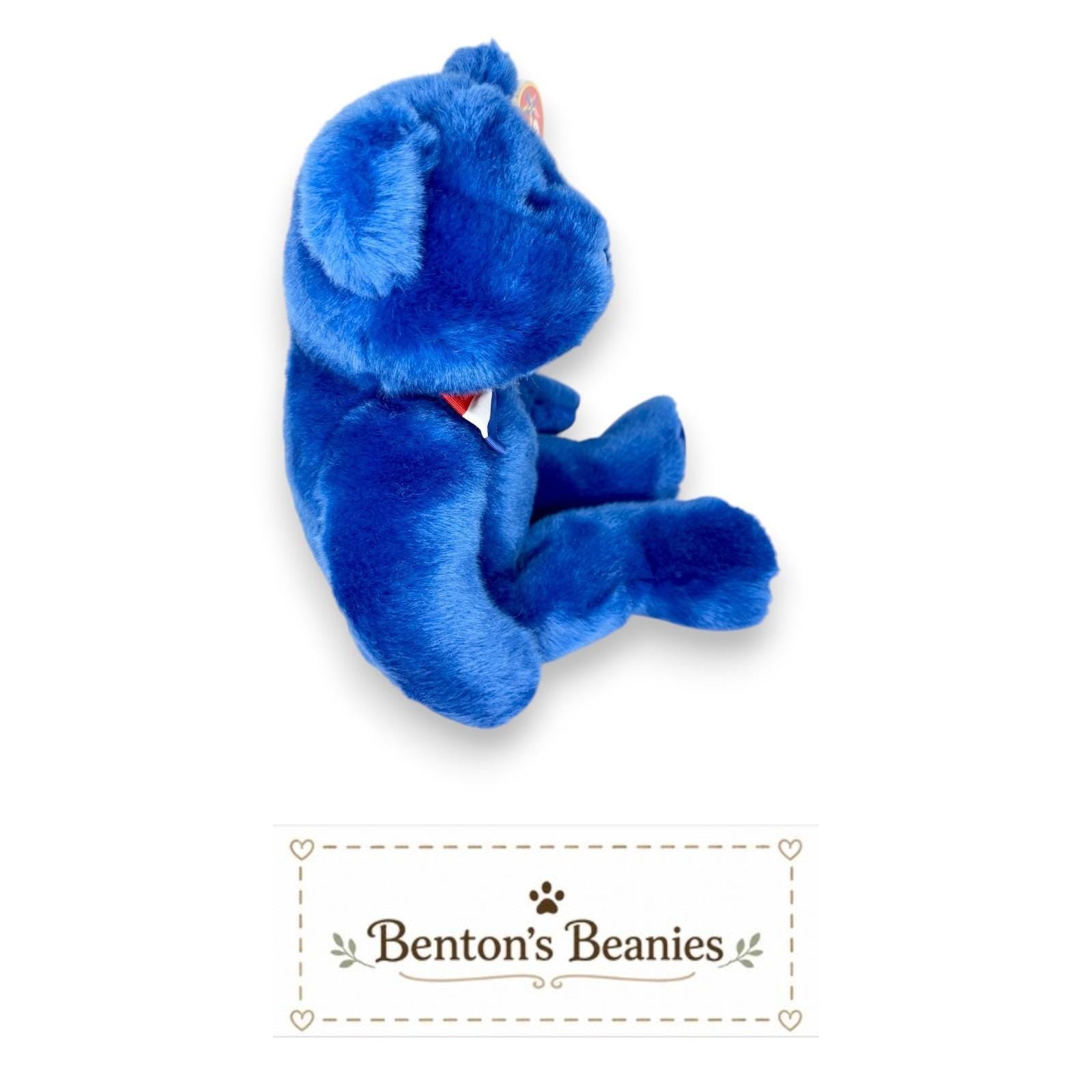John the Bear Ty Beanie Buddy | Patriotic Pride Bear | Mint Heart Tag