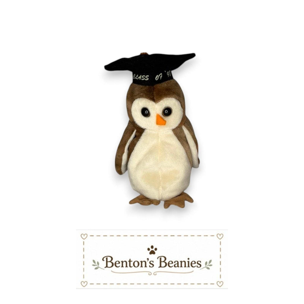 Wise the Owl TY Beanie Baby | Mint Heart & Tush Tags