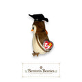 Wise the Owl TY Beanie Baby | Mint Heart & Tush Tags