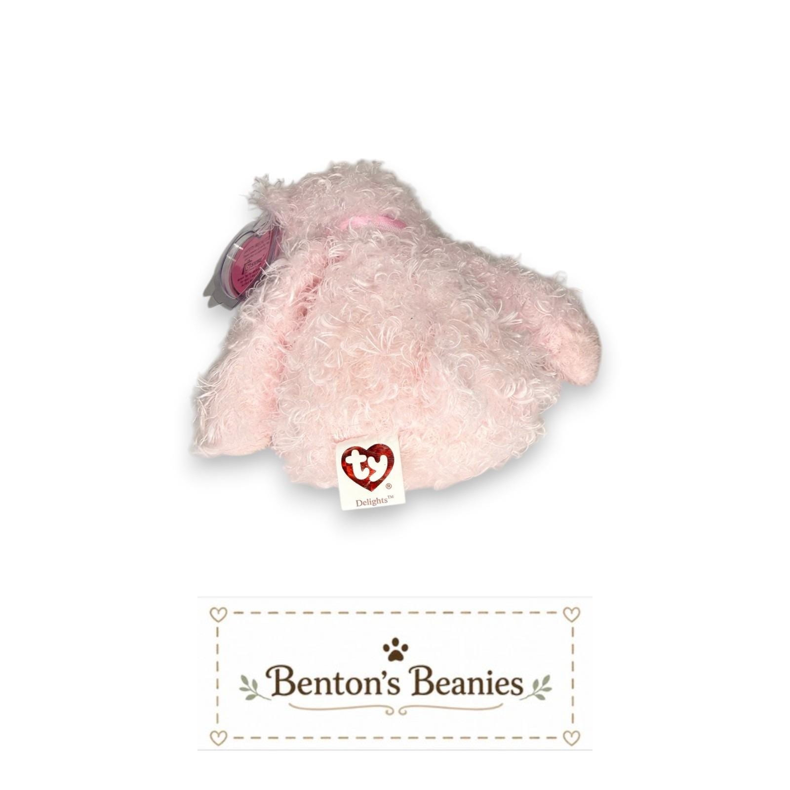 Delights the Bear Ty Pinky | Sweet Pink Daydreamer | Mint Heart Tag