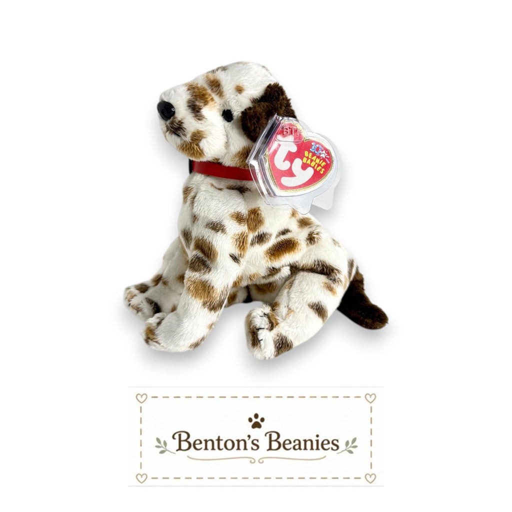 Bo the Dog TY Beanie Baby | Mint Heart & Tush Tags