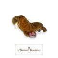 Paul the Walrus TY Beanie Baby | Mint Heart & Tush Tag