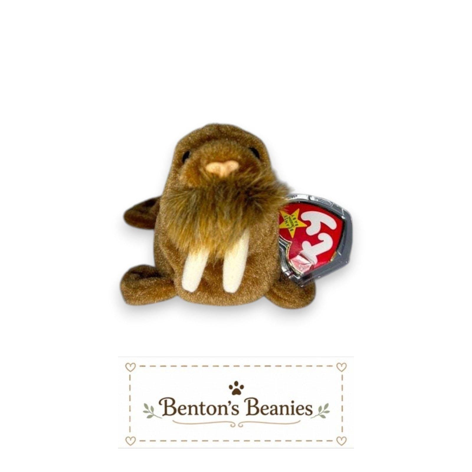 Paul the Walrus TY Beanie Baby | Mint Heart & Tush Tag