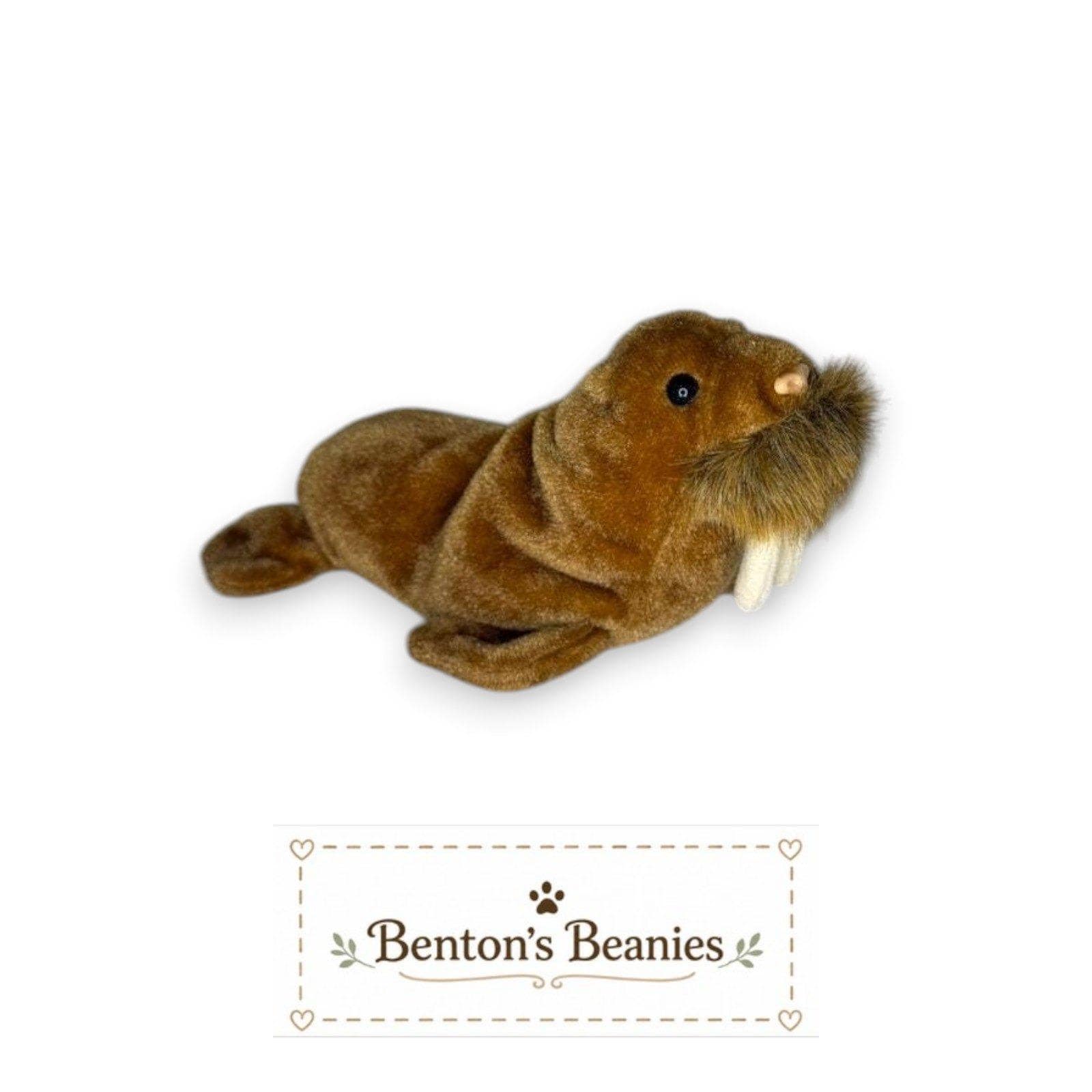Paul the Walrus TY Beanie Baby | Mint Heart & Tush Tag