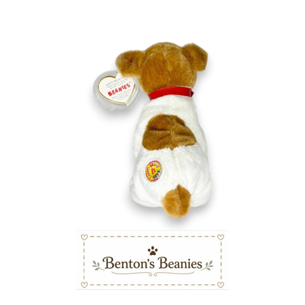 Kippy the Dog Ty Beanie Baby | Caramel-Coated Companion | Mint Heart Tag