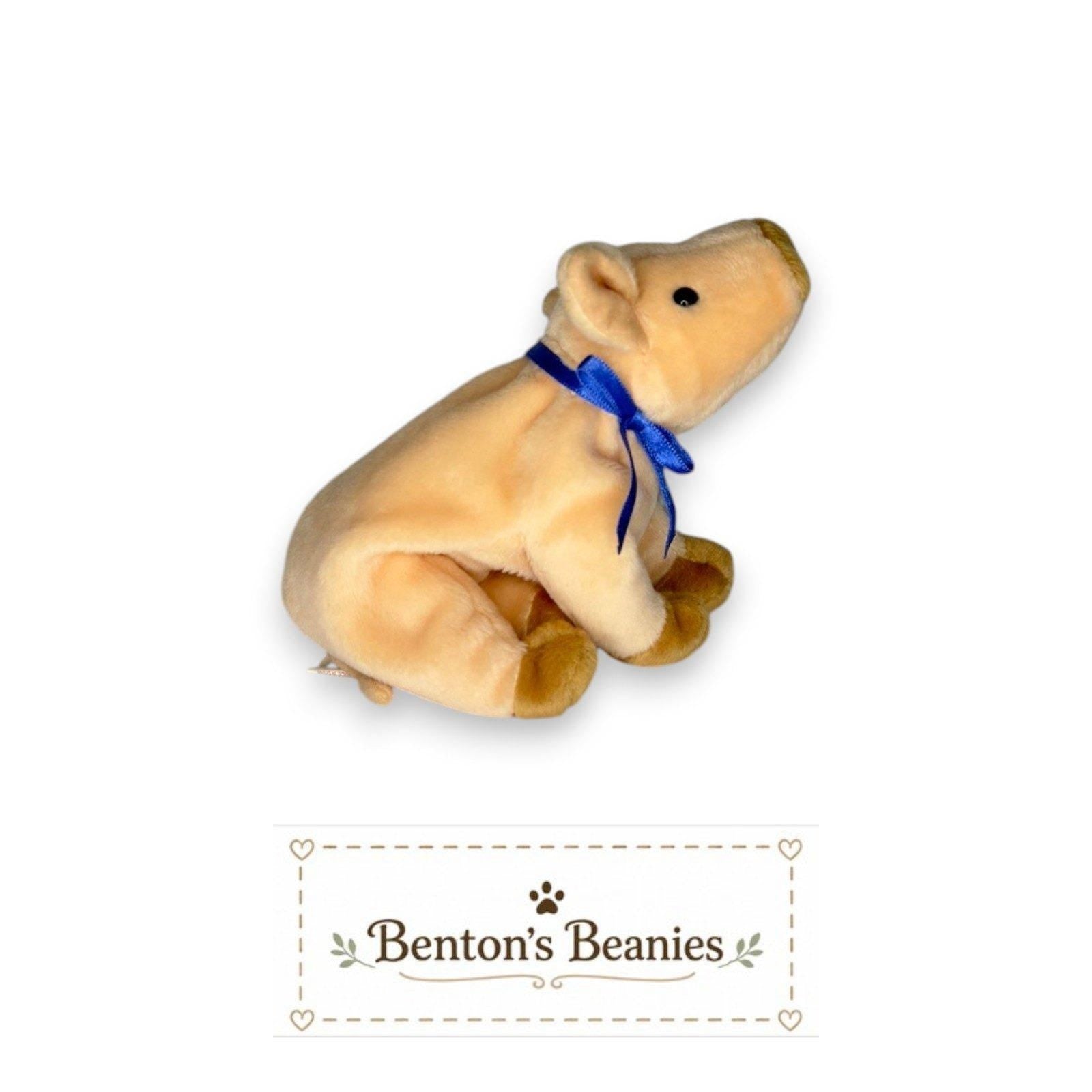 Knuckles the Pig Ty Beanie Baby | Pastel Barnyard Pal | Mint Heart Tag