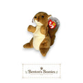 Nuts the Squirrel Ty Beanie Baby | Bushy-Tailed Buddy | Mint Heart Tag