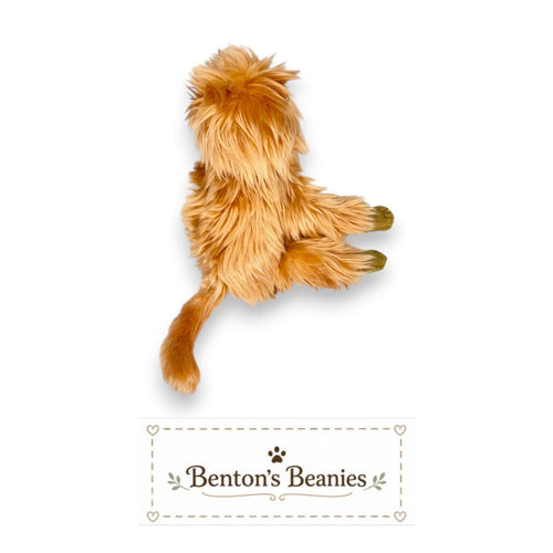 Caipora the Golden Lion Tamarin Ty Beanie Baby | Jungle Pal | Mint Heart Tag