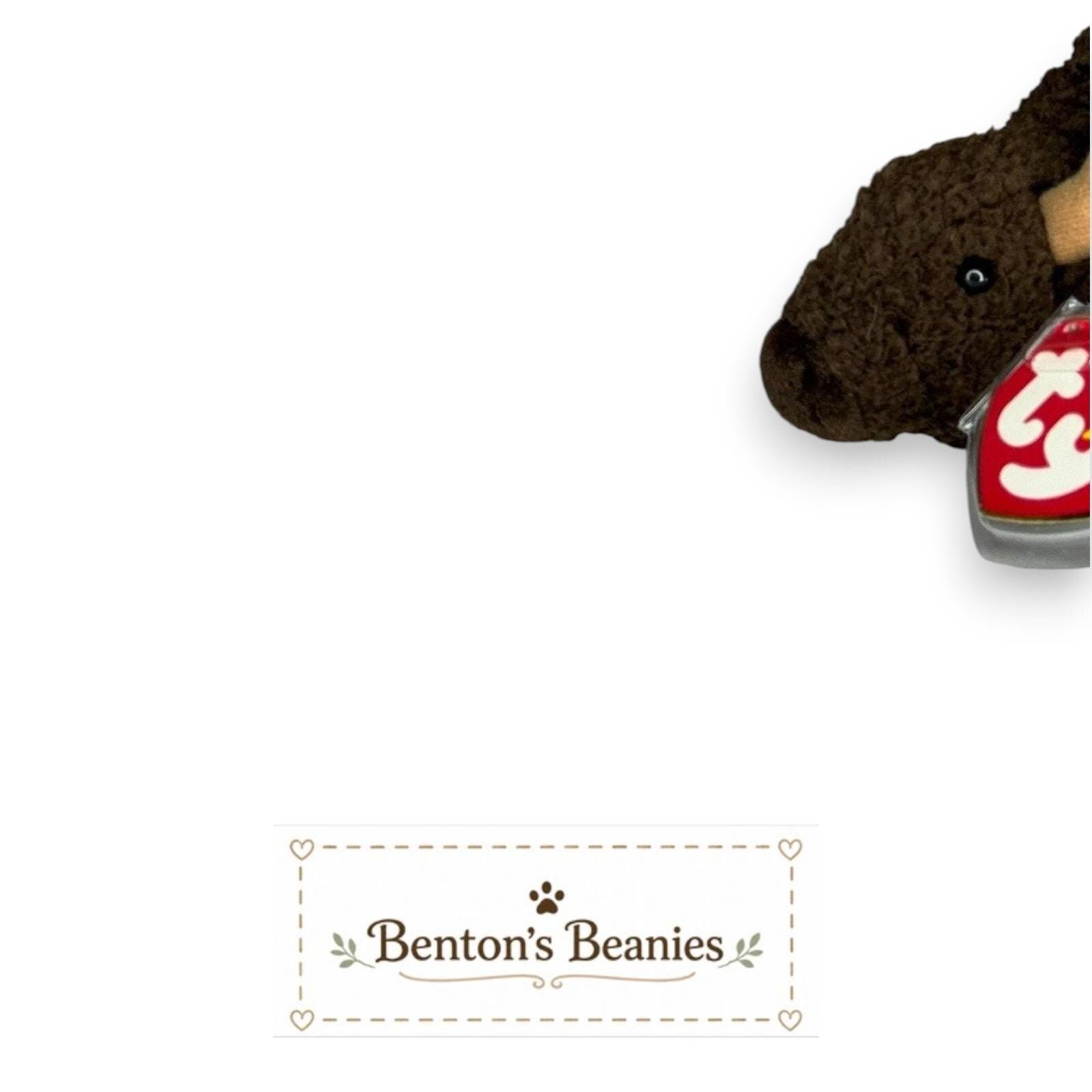 Roam the Buffalo TY Beanie Baby | Mint Heart & Tush Tag