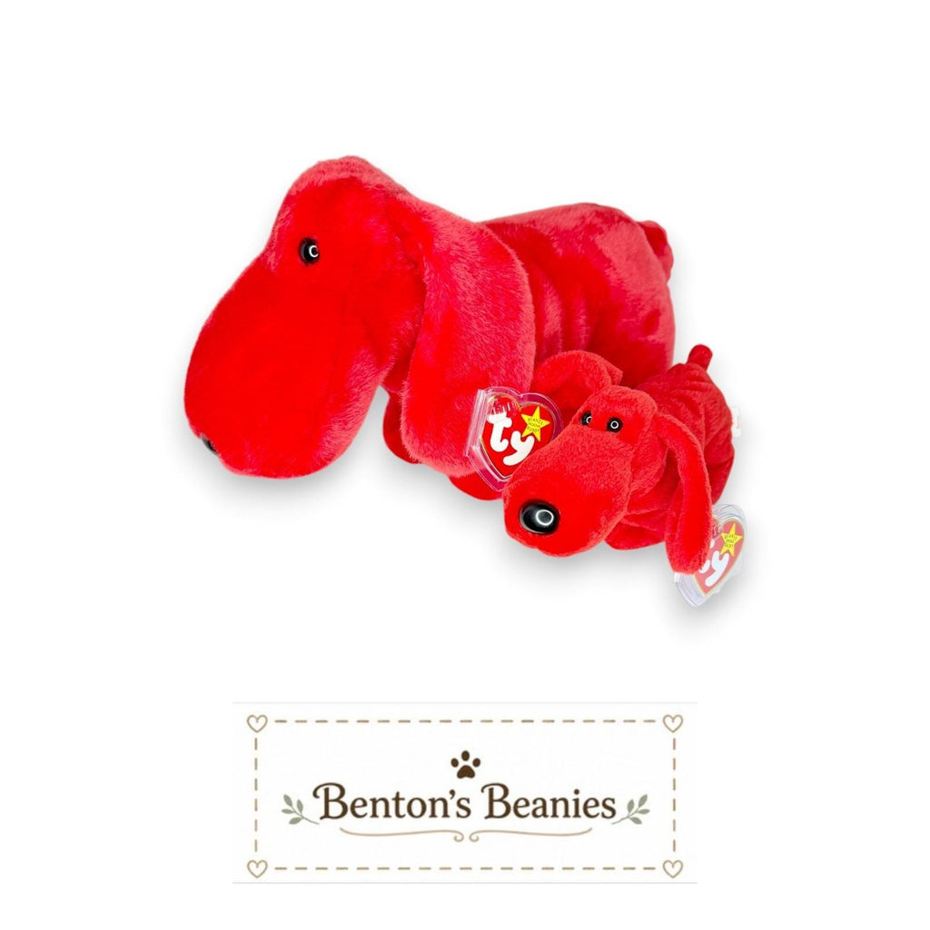 Rover the Dog Beanie Baby & Buddy | Best Buddies | Mint Heart Tags