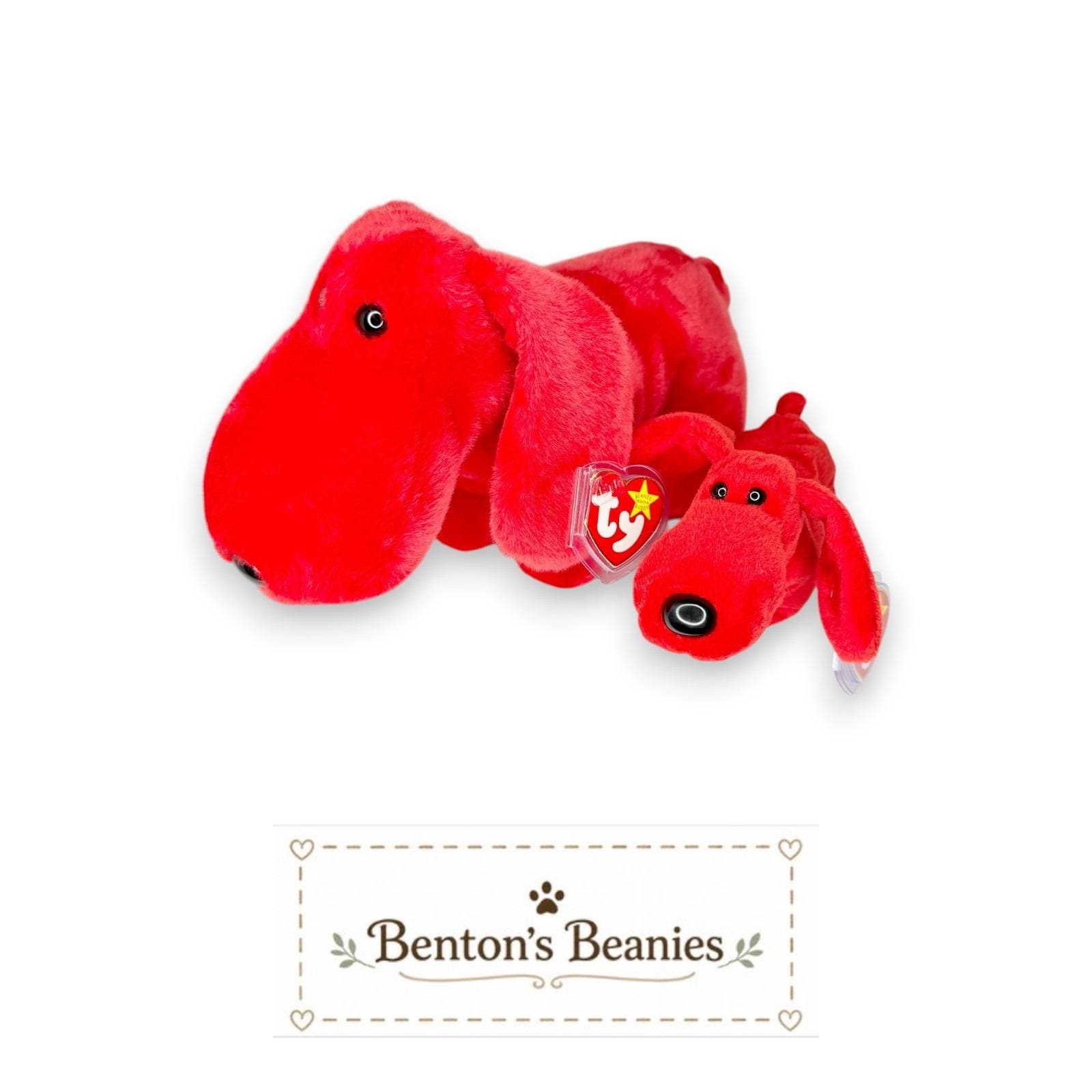 Rover the Dog Beanie Baby & Buddy | Best Buddies | Mint Heart Tags