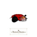 Lucky the Ladybug Ty Beanie Baby | Little Lucky Charm | Mint Heart Tag