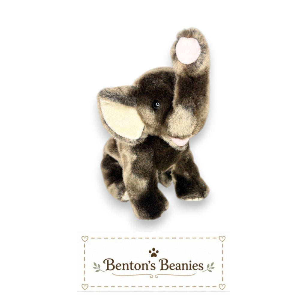 Trumpet the Elephant Ty Beanie Buddy | Gentle Giant | Mint Heart Tag
