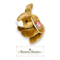 Ears the Bunny Ty Beanie Buddy | Meadow Hopper | Mint Heart Tag