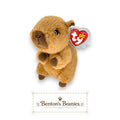 Mocha the Capybara Ty Beanie Baby | Cozy Cocoa Capypal | Mint Heart Tag