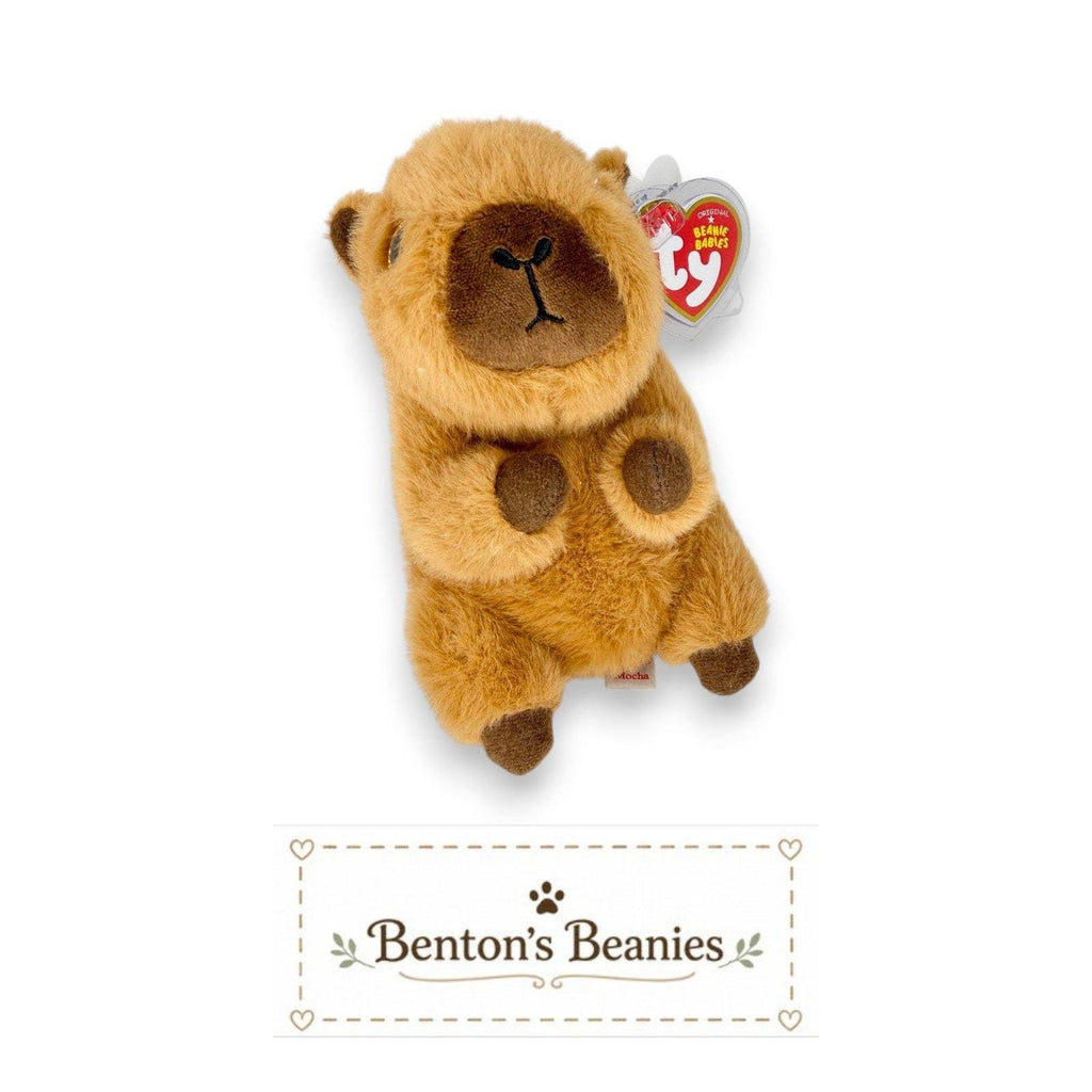 Mocha the Capybara Ty Beanie Baby | Cozy Cocoa Capypal | Mint Heart Tag