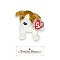 Kippy the Dog Ty Beanie Baby | Caramel-Coated Companion | Mint Heart Tag