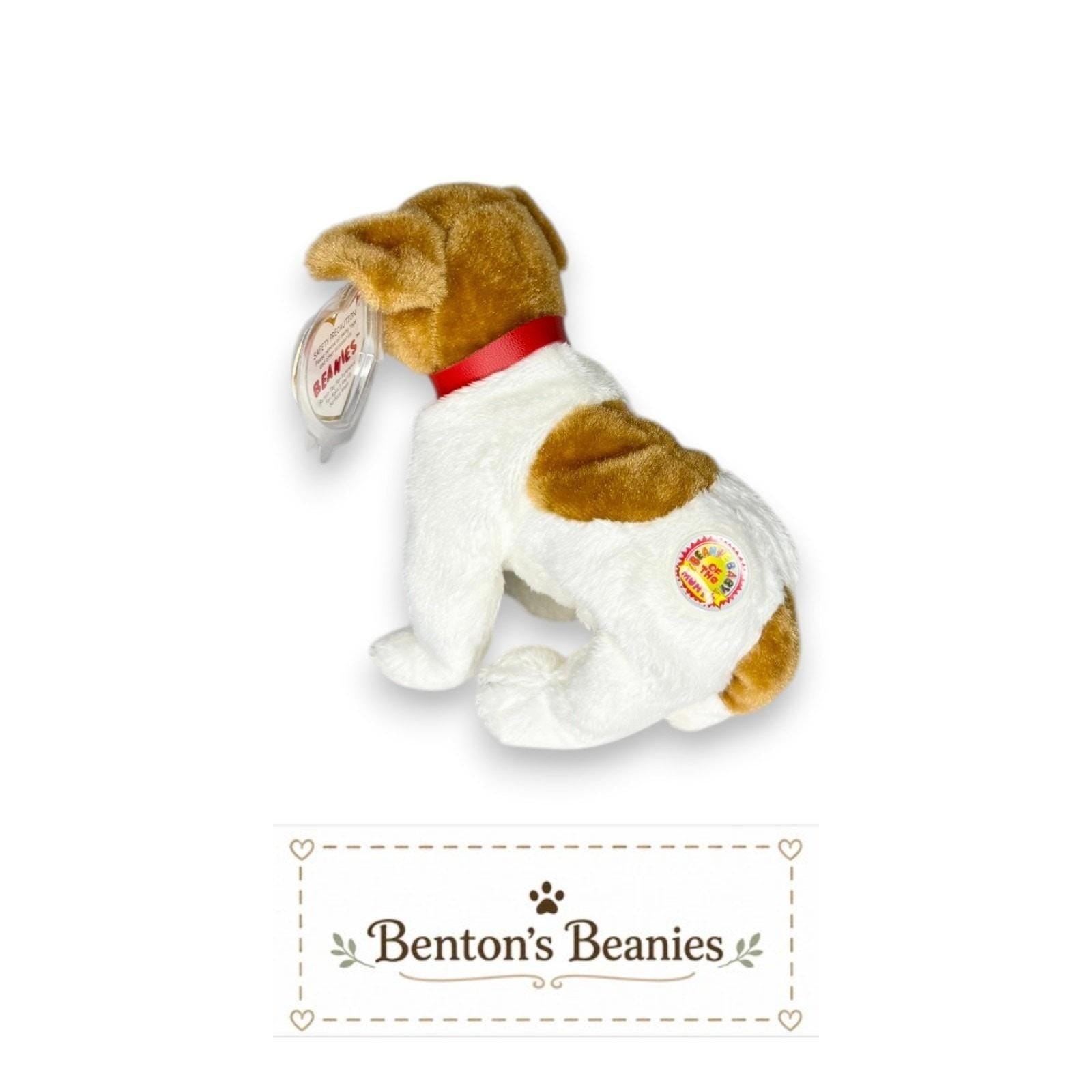 Kippy the Dog Ty Beanie Baby | Caramel-Coated Companion | Mint Heart Tag