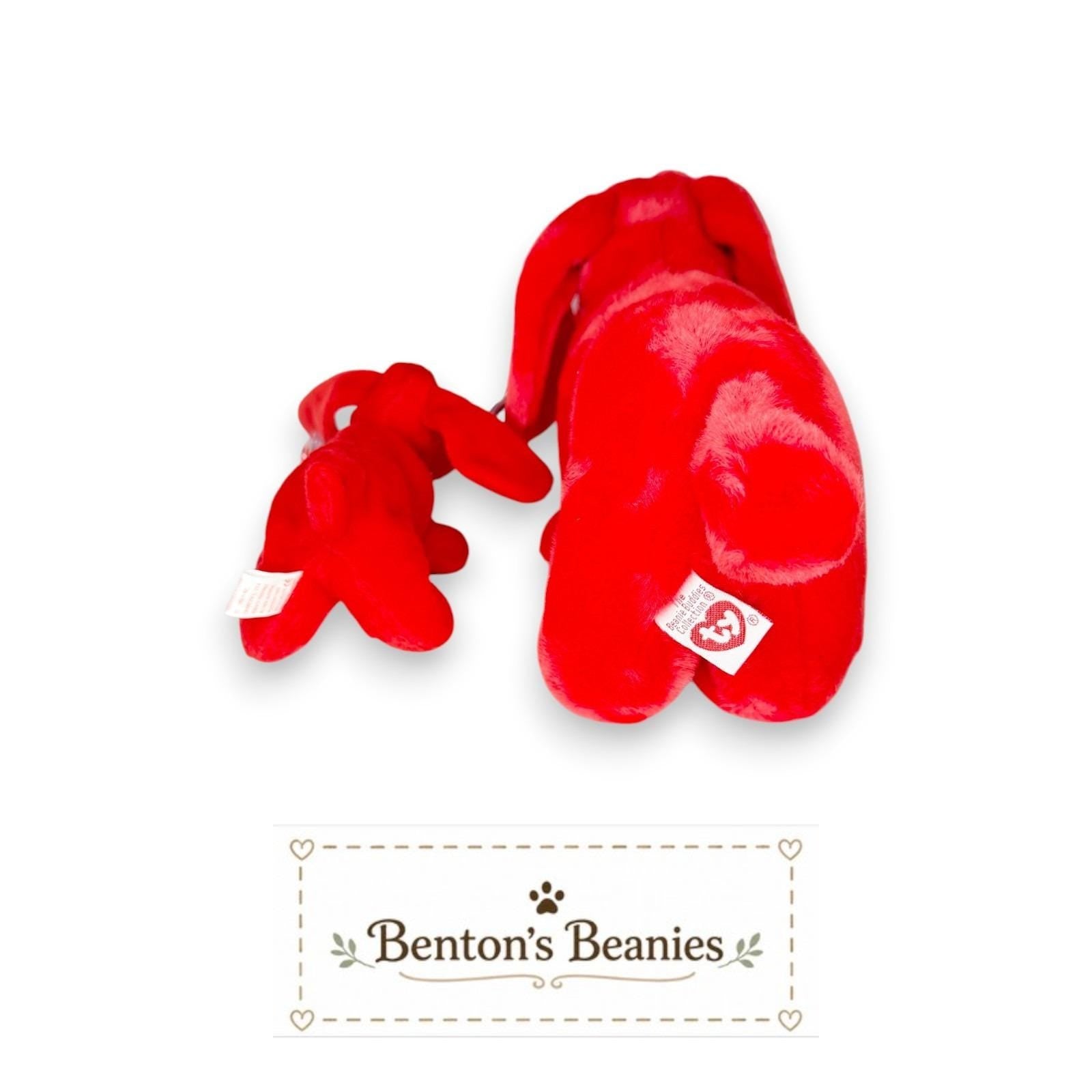 Rover the Dog Beanie Baby & Buddy | Best Buddies | Mint Heart Tags