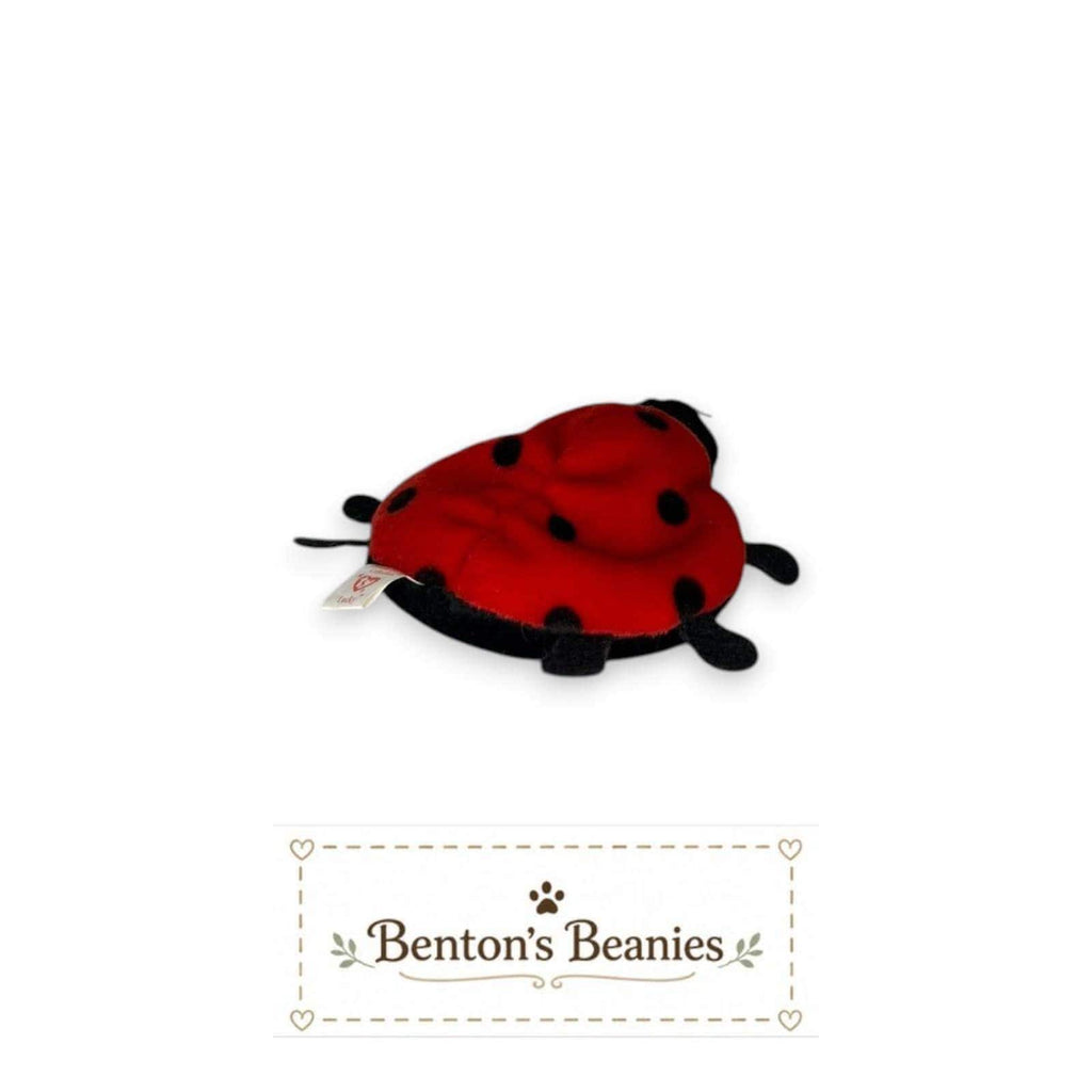 Lucky the Ladybug Ty Beanie Baby | Little Lucky Charm | Mint Heart Tag