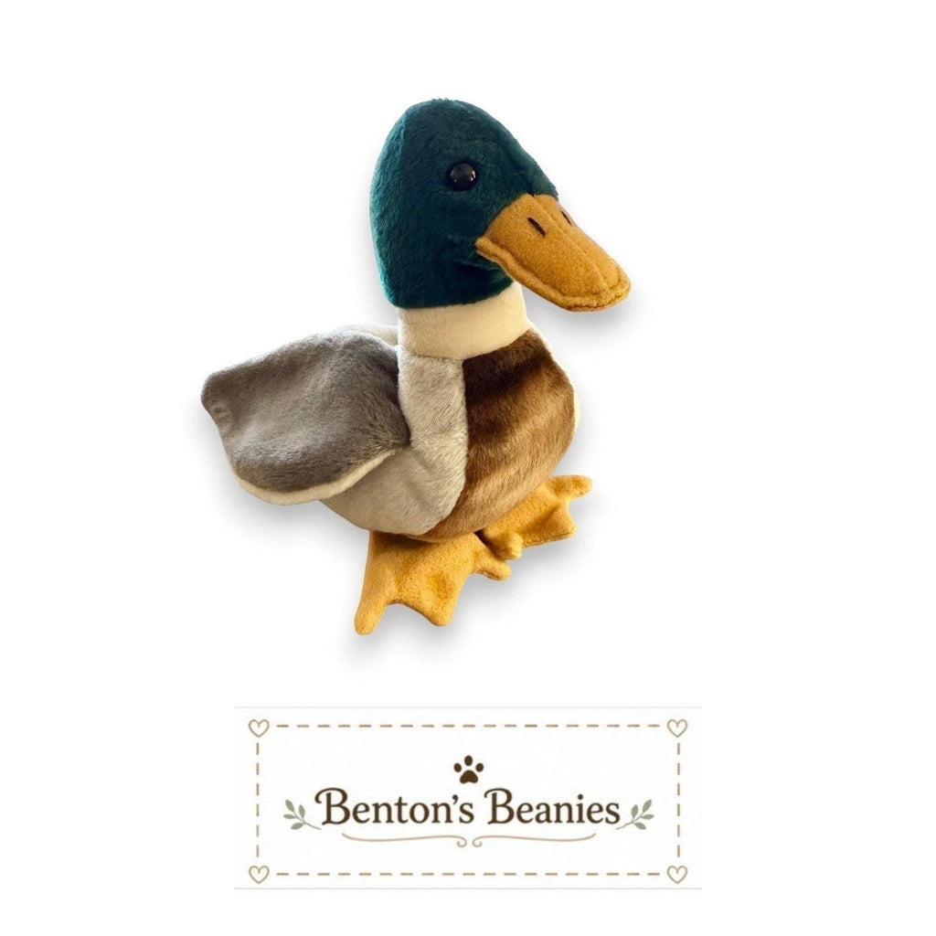 Jake the Mallard Ty Beanie Baby | Pondside Pal | Mint Heart Tag