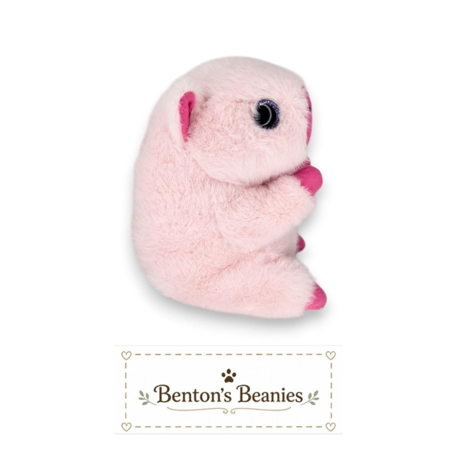 Petal the Capybara Ty Beanie Baby | Blushing Pink Pal | Mint Heart Tag