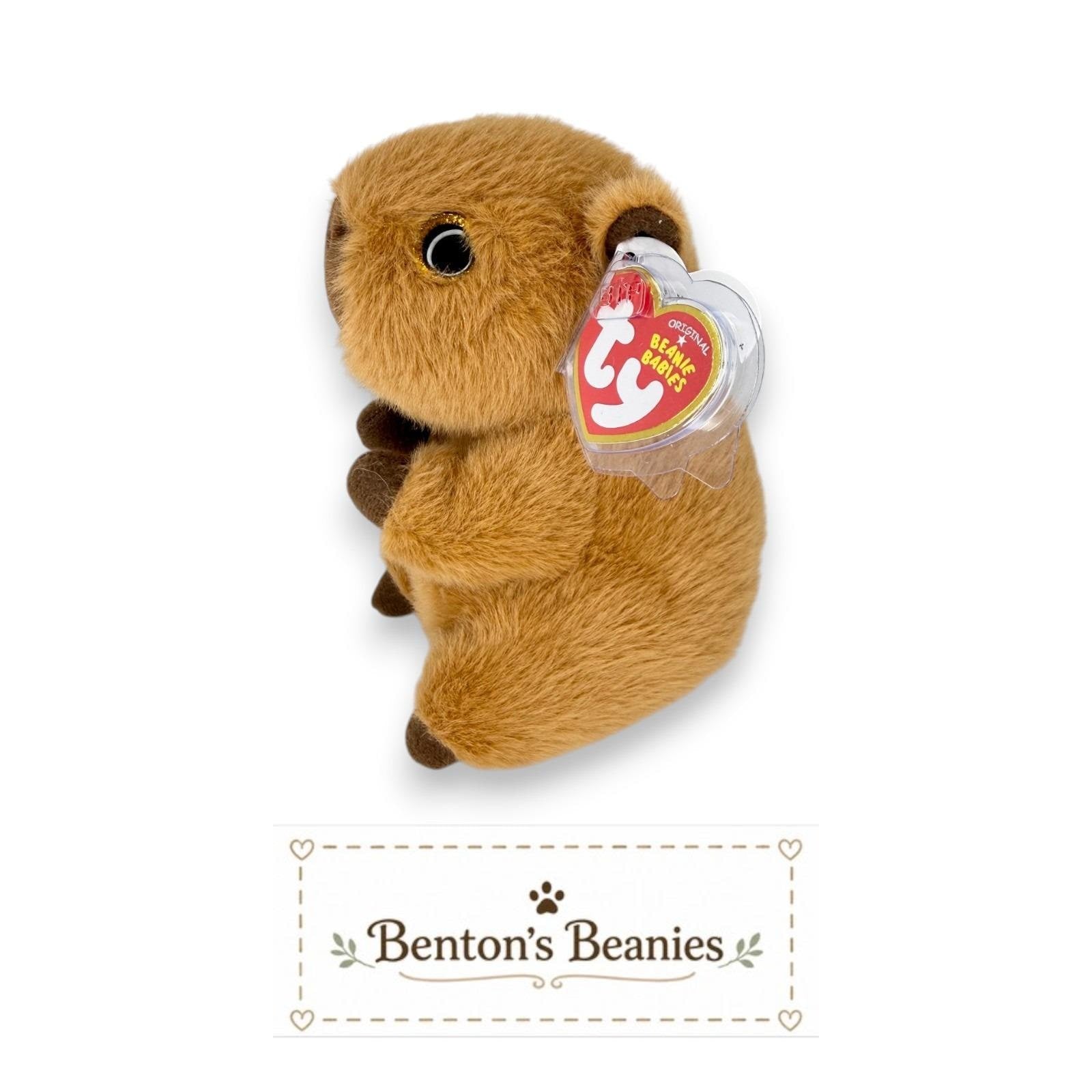 Mocha the Capybara Ty Beanie Baby | Cozy Cocoa Capypal | Mint Heart Tag