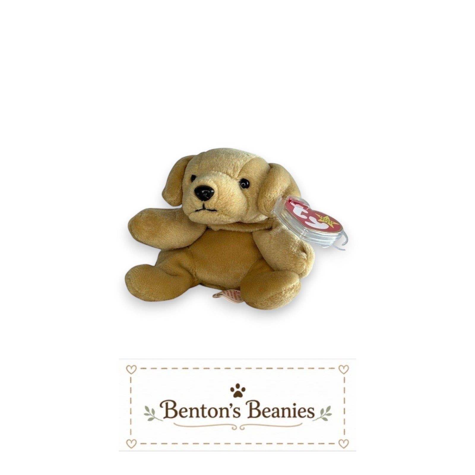 The Beanie Center Fetch the Golden Retriever Dog plush toy with floppy ears and mint tags.